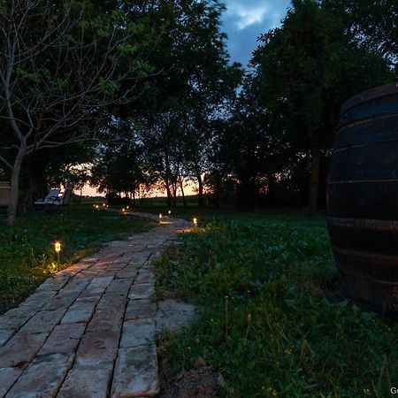 Pannonia Terranova Hotel Vardarac Bagian luar foto