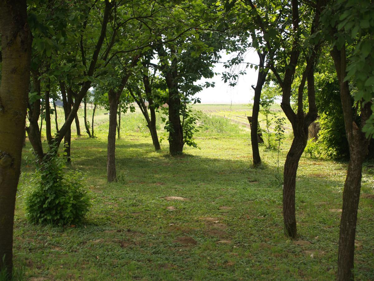 Pannonia Terranova Hotel Vardarac Bagian luar foto
